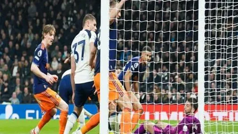 瑞典杯专家质合分析：期号战力评估与实际数据对比